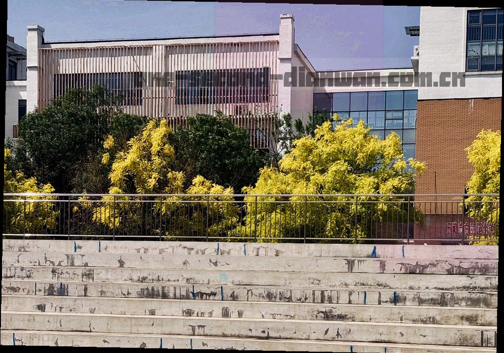 刻度与区间条组成的数值示意图